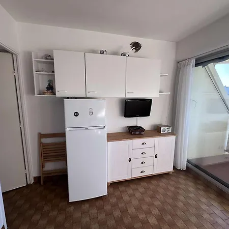 Apartmán Climatise Sur Port - 4 Pers. - Fr-1-731-156 Le Grau-du-Roi